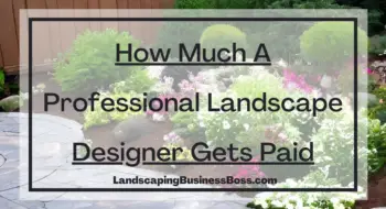 How Much A Professional Landscape Designer Gets Paid?